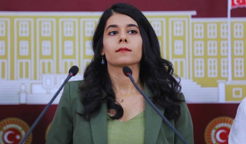 DEM Parti Milletvekili Beritan Güneş, suç işleyen çocukların yargılanmasına karşı çıktı