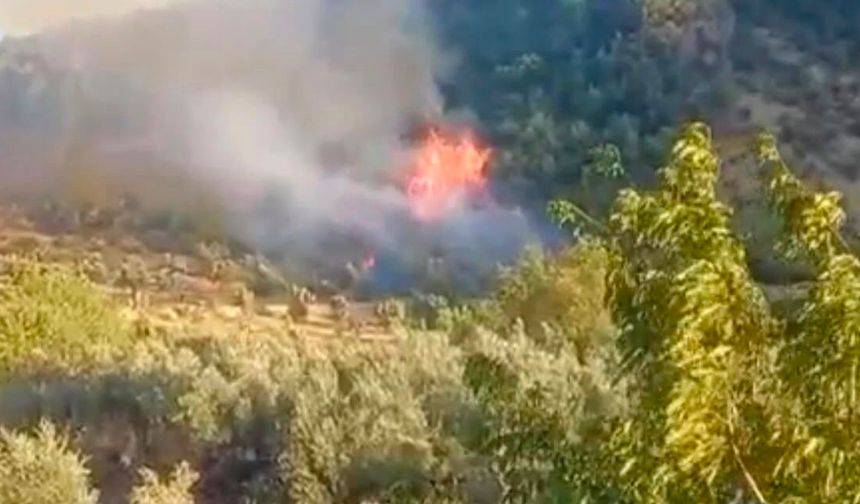 Gaziantep'te çıkan orman yangını havadan ve karadan müdahaleyle söndürüldü