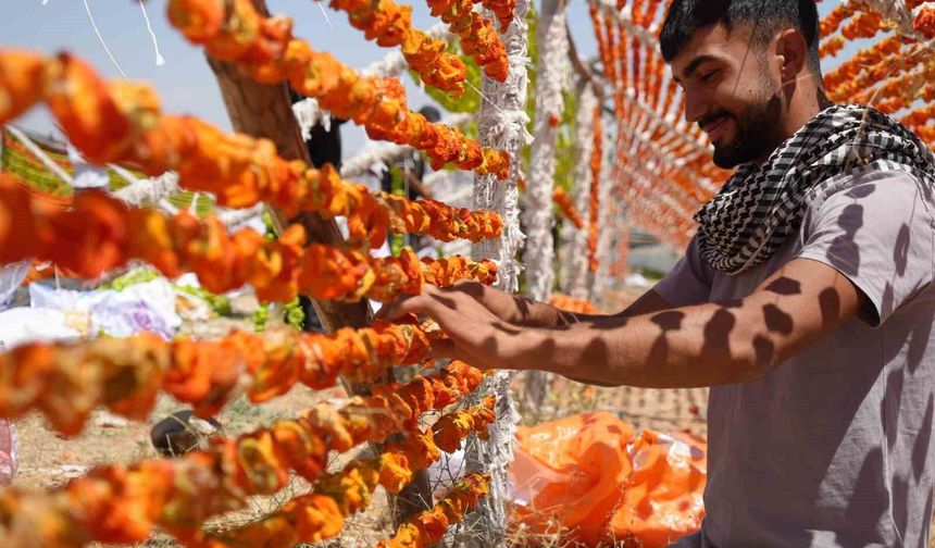 Sıcak hava en çok onlara yaradı: Gaziantep'te kurutmalık sezonu başladı