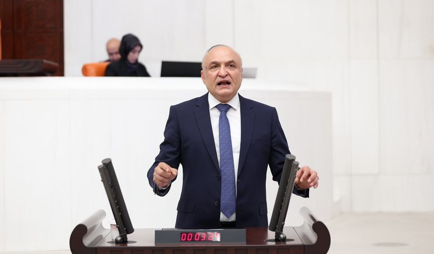 YENİ Partili Meriç’ten cezaevlerindeki kötü koşullar için soru önergesi