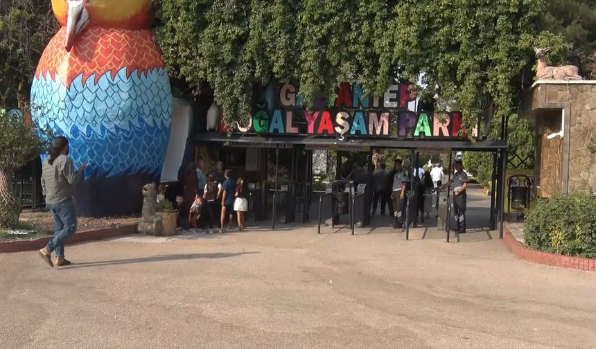 Gaziantep'te 'Yırtıcı Adası' heyecanı