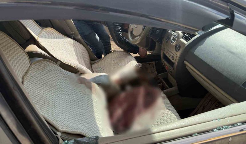 Gaziantep'te aracında öldürülen Ali Haydar Çoban cinayetinde sanıklar 2'nci kez hakim karşısında