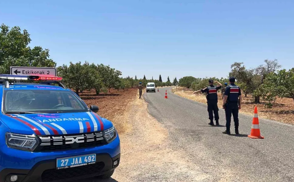Gaziantep’te jandarma ekipleri ’yeşil altın’ için nöbette