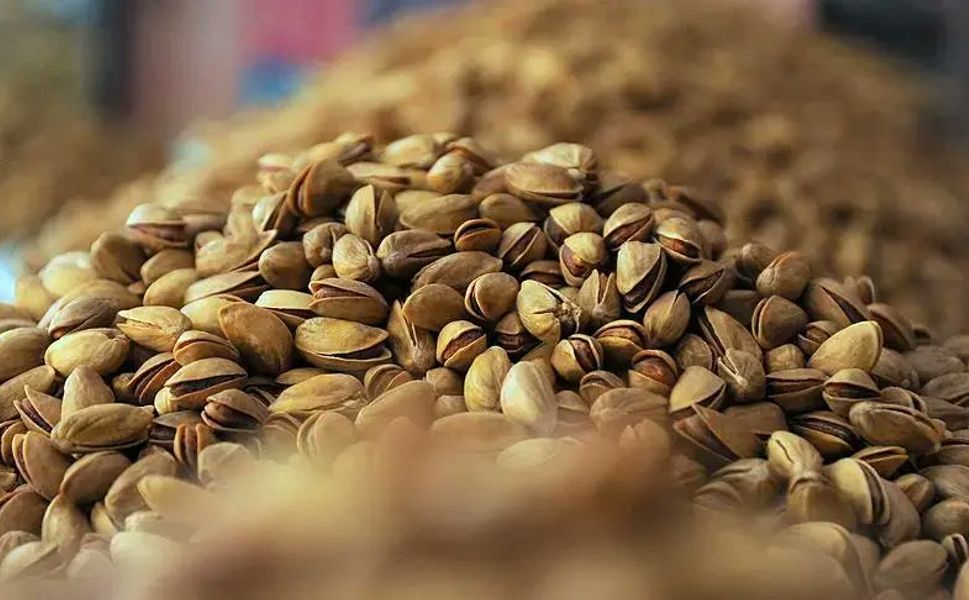 Antep Fıstığında aflatoksin alarmı! Bu sene Antep fıstığına doyacağız! Hepsi sınırda reddedildi