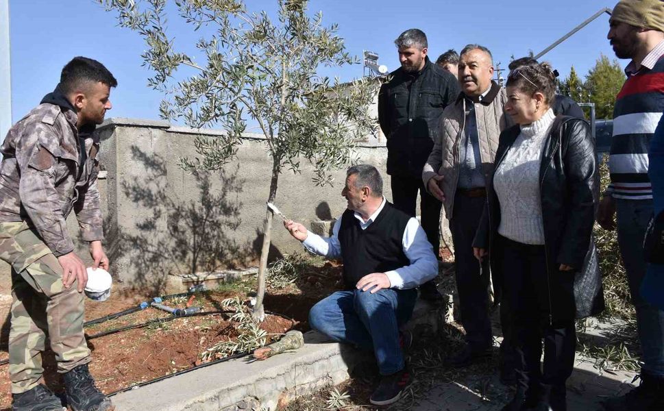 Antep fıstığı ve zeytin üreticilerine budama eğitimi