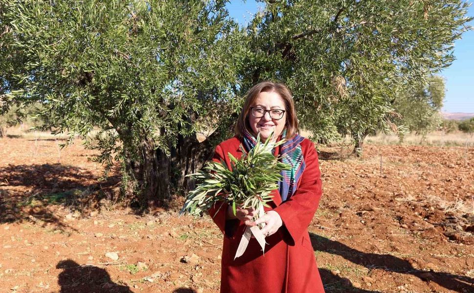 Gaziantep Büyükşehir'den Nizip'e örnek tarımsal destekler