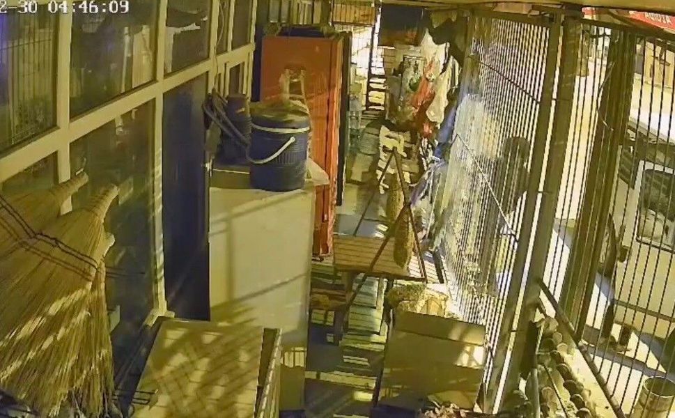 Osmaniye’de 150 bin TL’lik market soygunu: Şüpheli Gaziantep'te yakalandı...