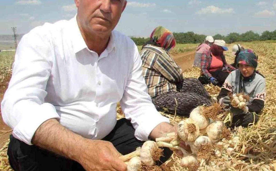 Hasan Altun'dan yüksek maliyetin düşürülmesi talebi