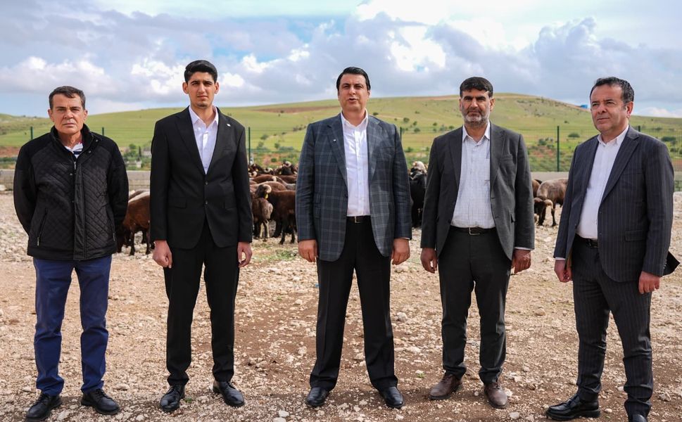 Şehitkamil'de kurbanlık fiyatları açıklandı