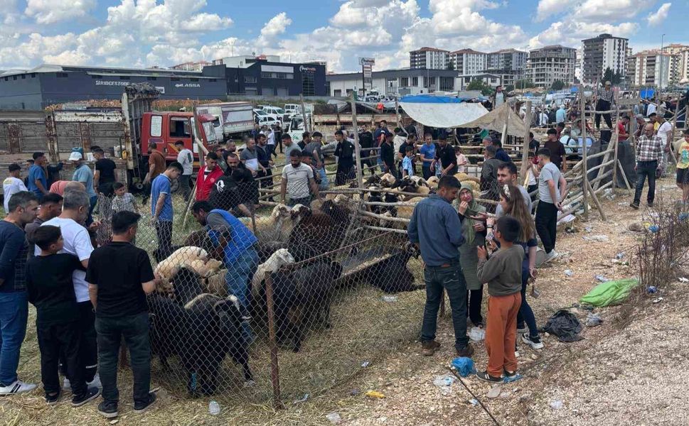 Arefe günü Gaziantep'teki kurban pazarlarında yoğunluk had safhaya çıktı