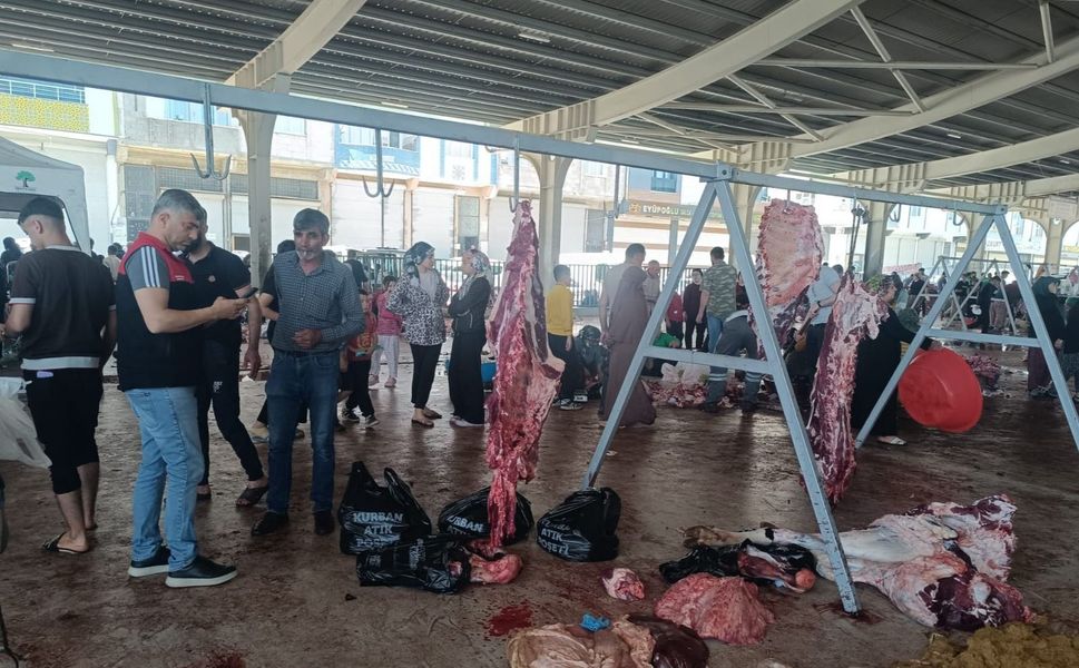 Gaziantep'te hastalıklı kurban eti şoku! O etler imha edildi...