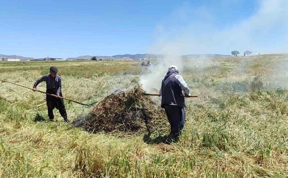 Gaziantep'te firik sezonu başladı