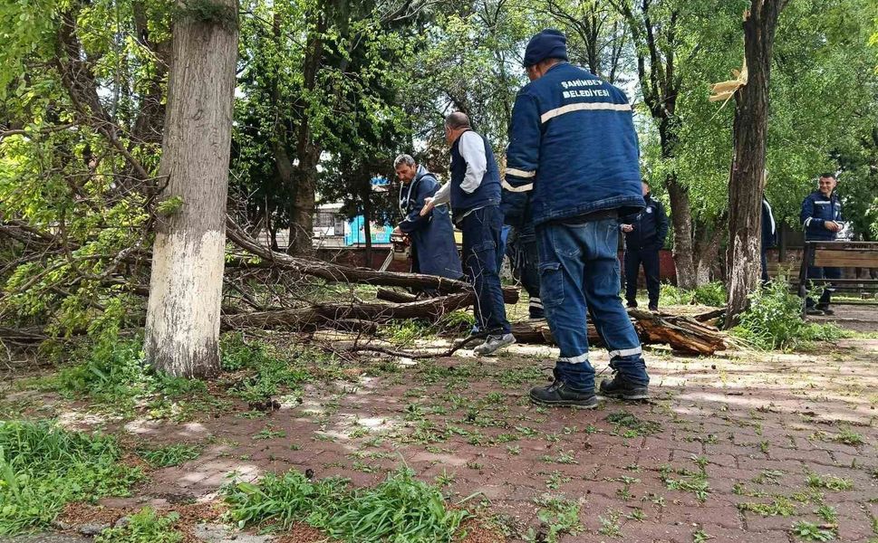 Gaziantep'te fırtına sonrası yaralar sarılıyor