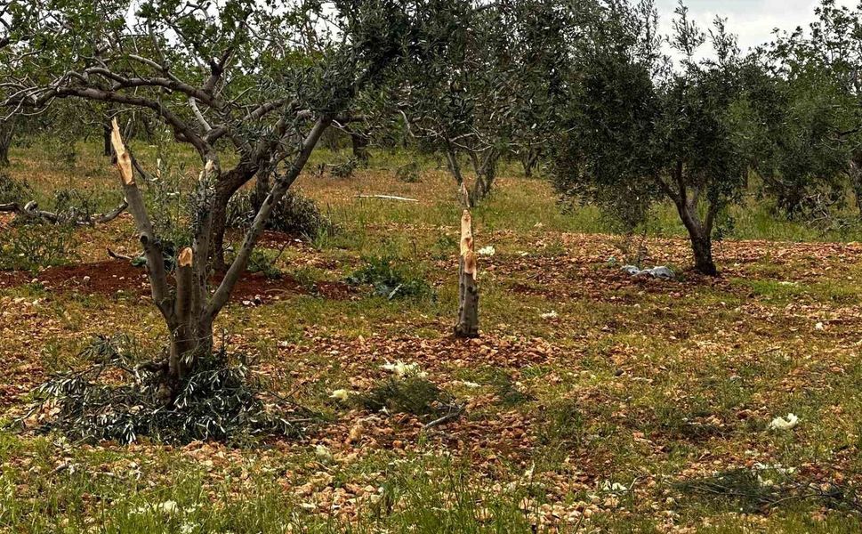 Gaziantep'te 'süper hücre' tarım alanlarını vurdu