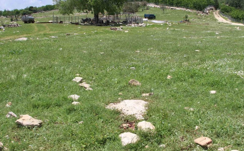 Katilin intihar ettiği yer görüntülendi: 'Fail kaçamayacağını anlayınca intihar etmiş'