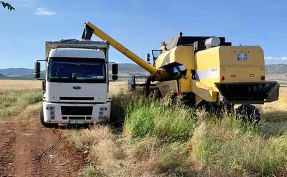 Araban Ovası'nda arpa hasadı yapılmaya başlandı
