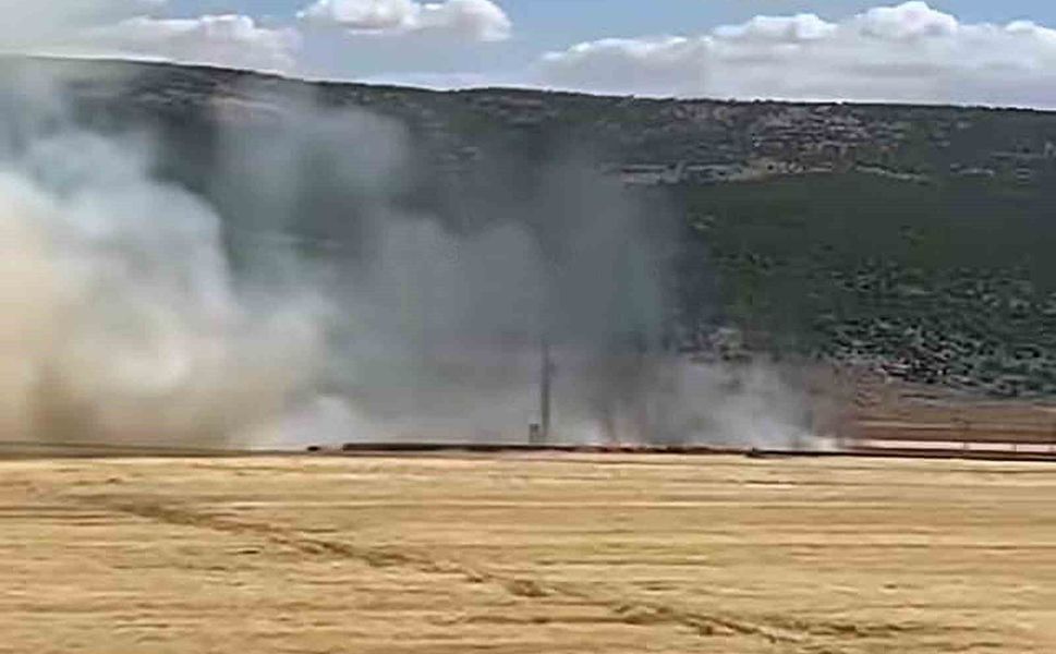 Araban Ovası'nda hasada hazır 93 dönüm buğday kül oldu
