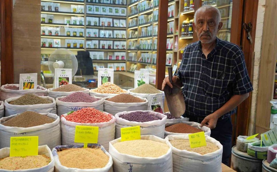 Dede mesleğini 3 bin dönüm arazide yaşatıyor