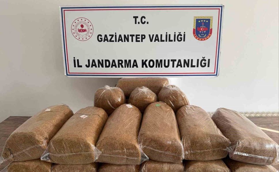 Gaziantep'te 353 aranan şahıs yakalandı