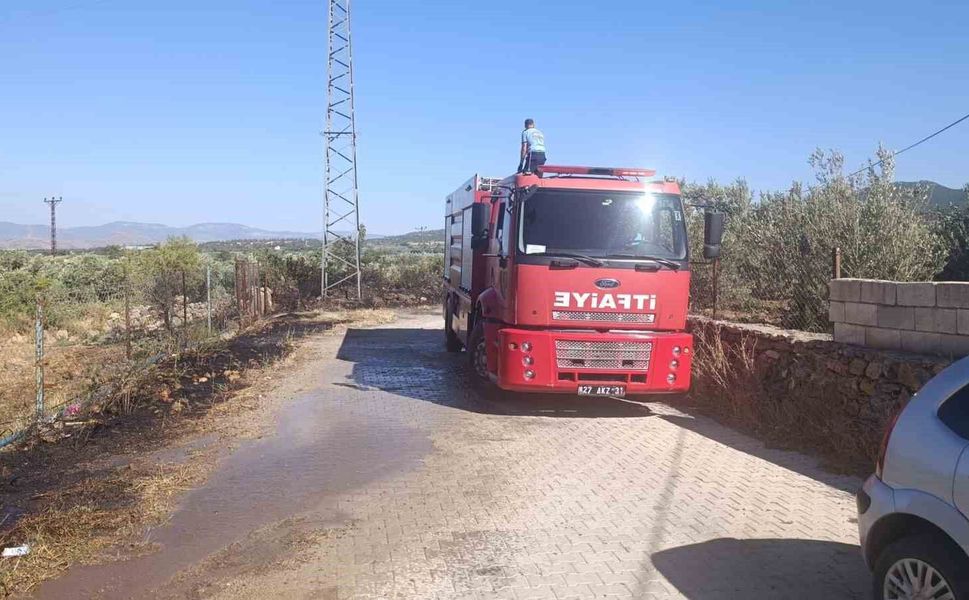 Gaziantep'te zeytinlik alanda yangın