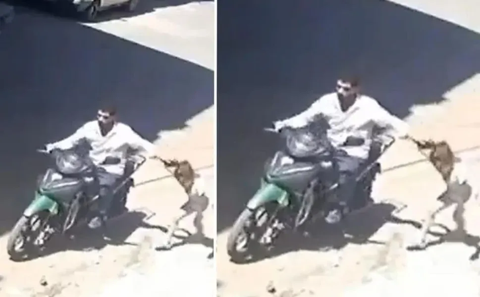 Gaziantep'te Kızını darp edip motosikletle sürükleyen babanın 12 suç kaydı olduğu ortaya çıktı