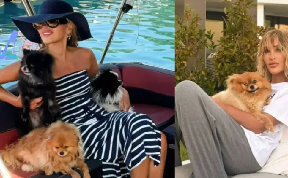 Benim bu dünyayla işim bitti! Seren Serengil'in acı günü! Köpeğini kaybetti
