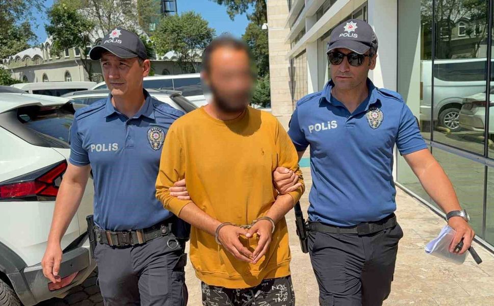 Kediye tekme atan şahıs tutuklandı: 'Sinirliydim, pişmanım'