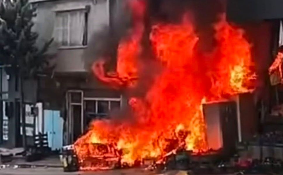 Gaziantep'te petshop yangını: Çok sayıda hayvan telef oldu