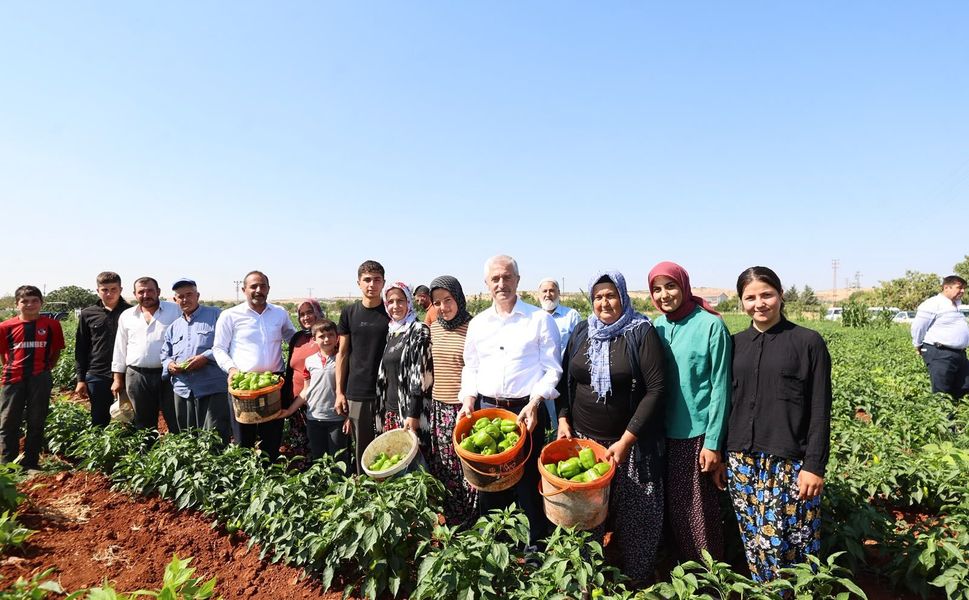 Şahinbey’den çiftçilere 53 milyondan fazla fide desteği