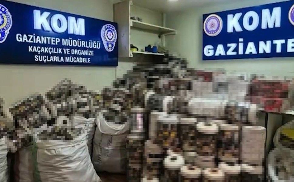 Gaziantep'te 14 bin paket kaçak sigara ele geçirildi: 1 gözaltı