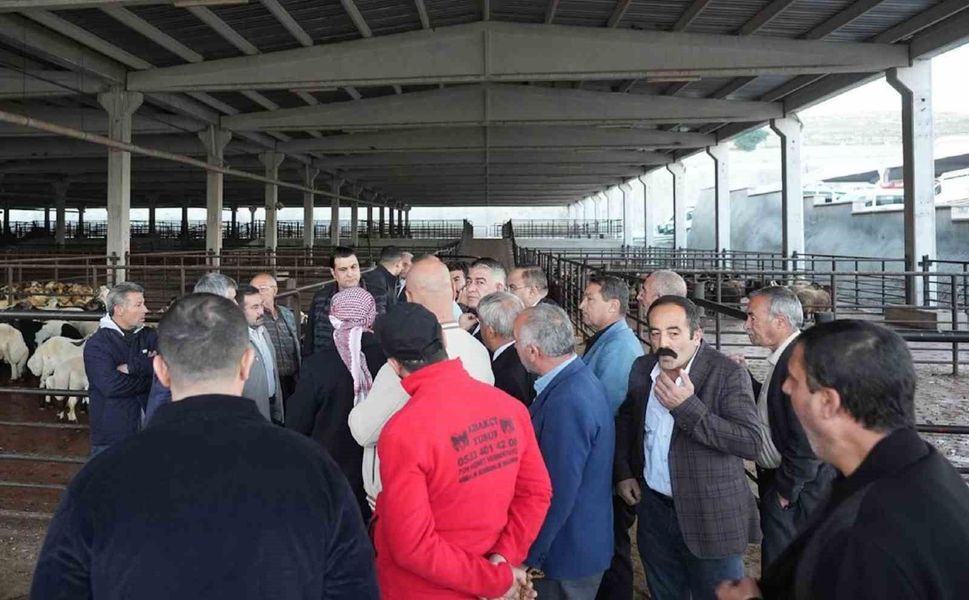 Umut Yılmaz'dan et müjdesi