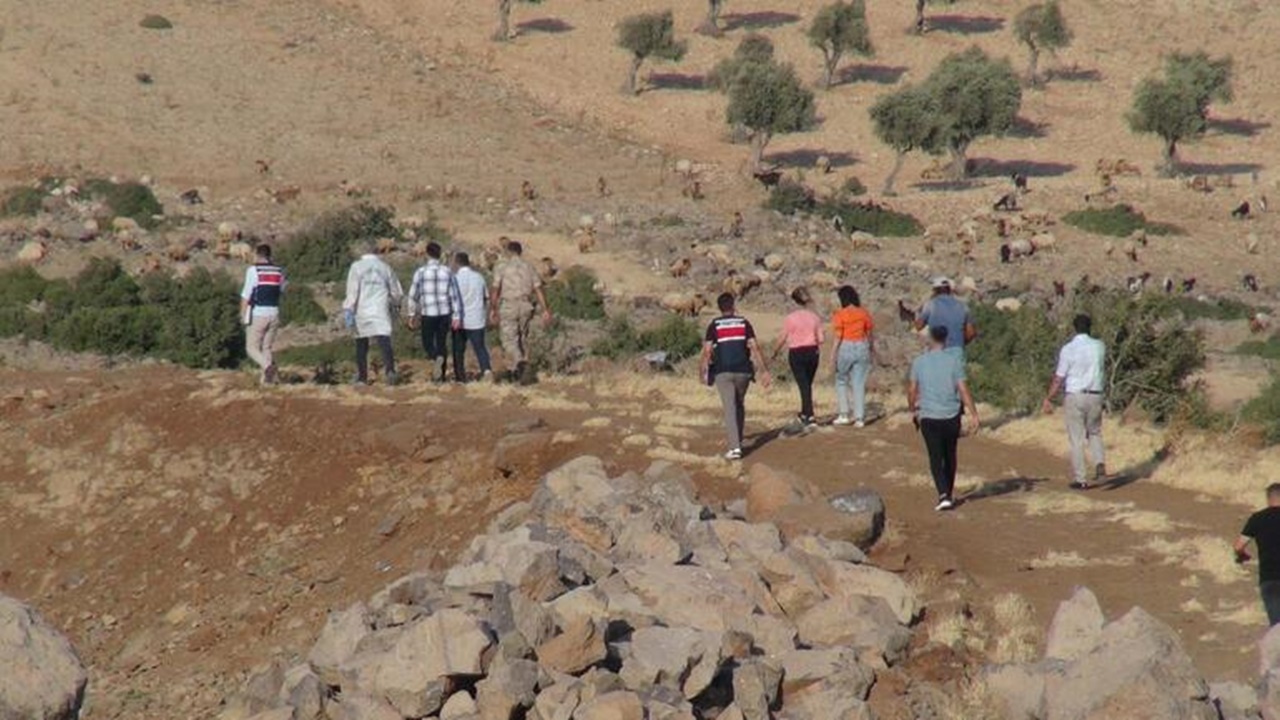 63025c62470a9b315cb788cf