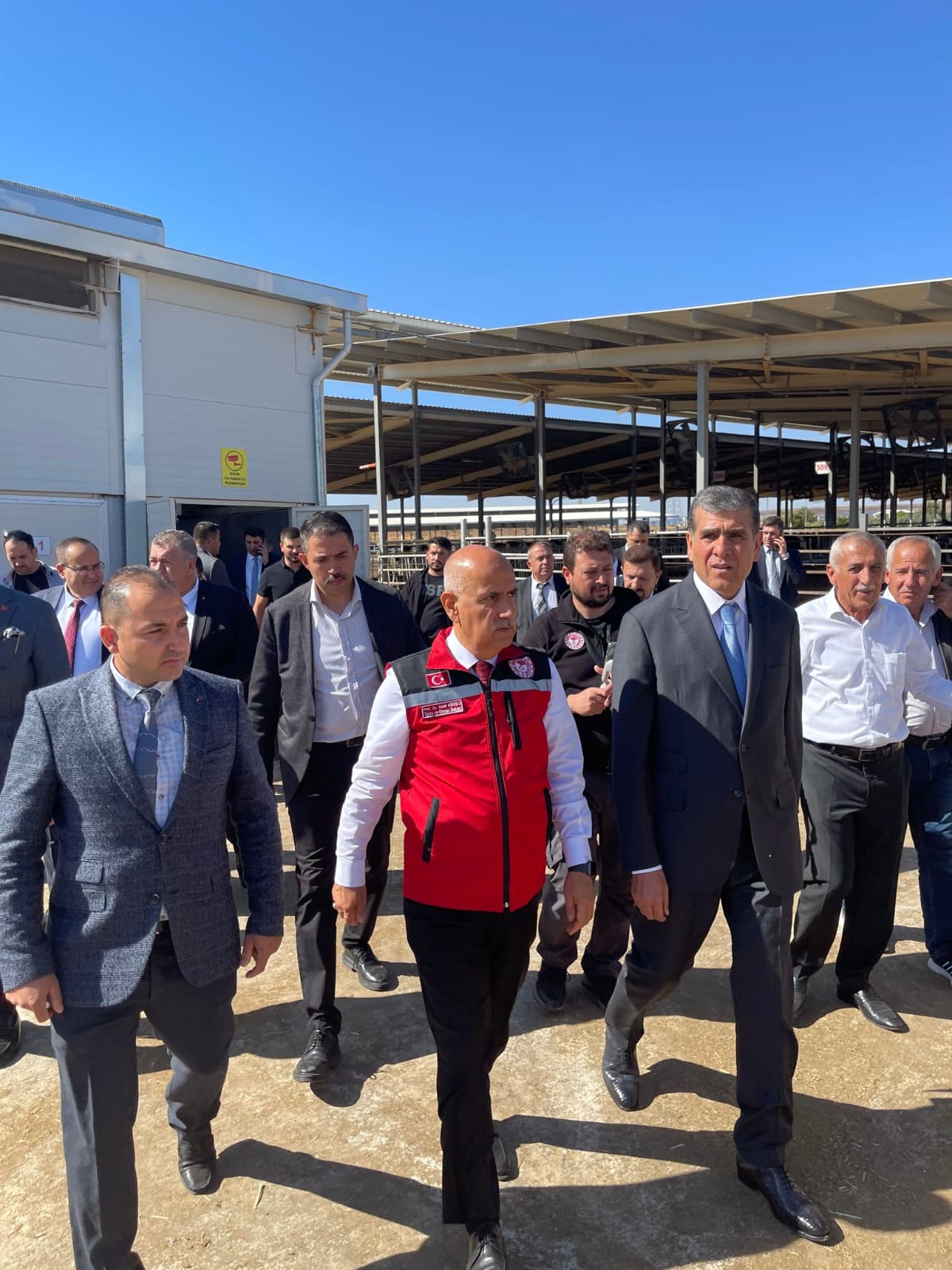 3389641a-f94c-41d3-9c2b-606f411020a1