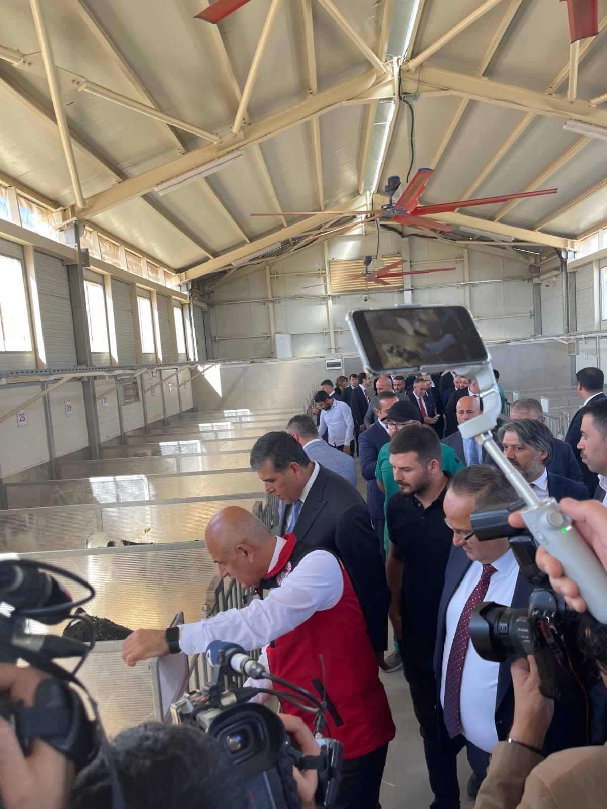 3a7f07b3-500b-4c31-8021-6c400135b252