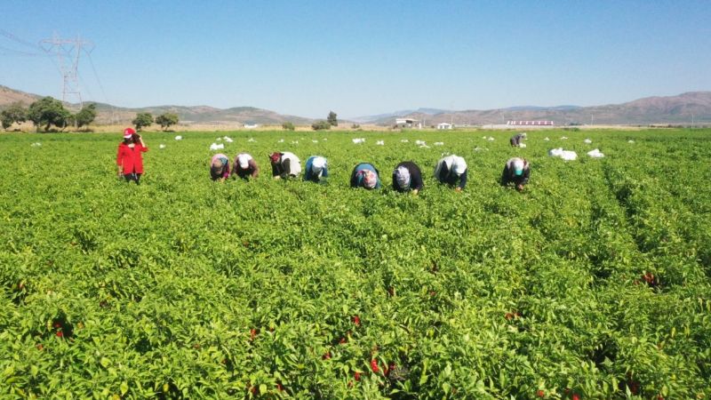 aa-20221024-29237929-29237926-nurdagindaki-uretici-kadinlar-nurbaci-markasinda-bulustu-1666614910