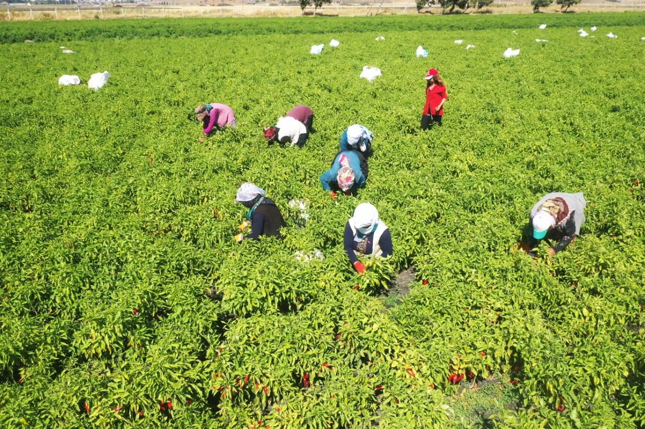 aa-20221024-29237929-29237928-nurdagindaki-uretici-kadinlar-nurbaci-markasinda-bulustu