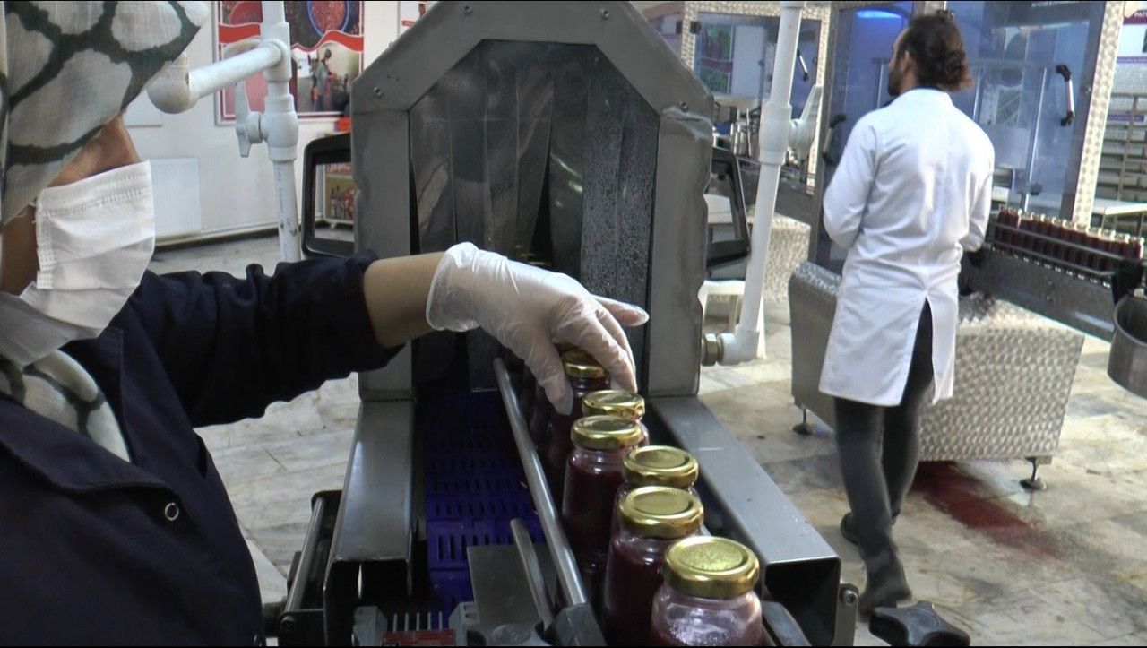 133561775-1680084554