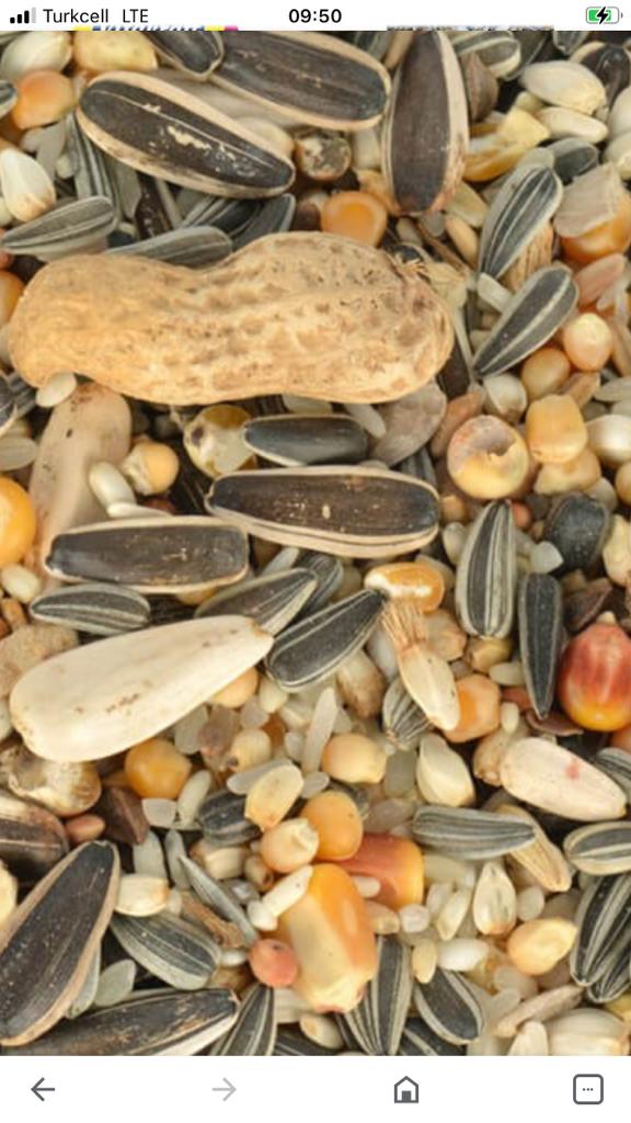 ff010c5a-22d0-4c83-87a2-878573252b89