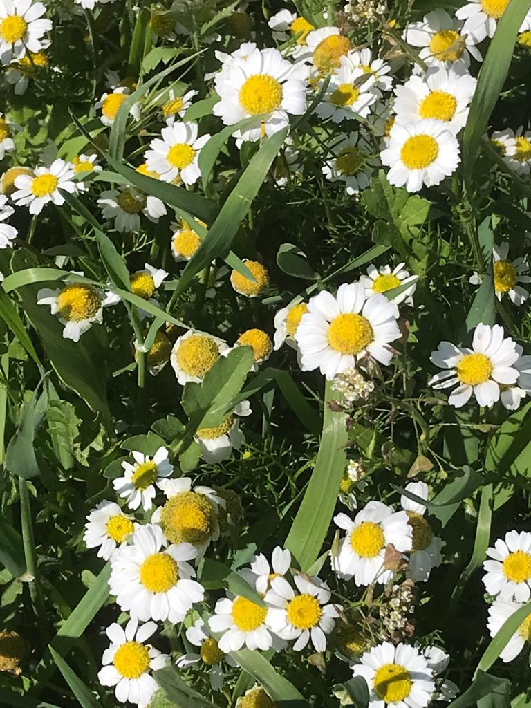 113d0b30-c617-4626-9833-26c45691dcdf