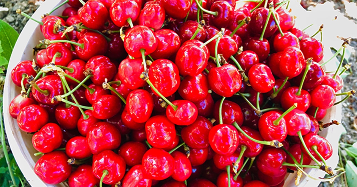 KIRAZ-AFYONKARAHISAR-DA-35-TL--ALMANYA-DA-11-90-EURO--manset-1688383638