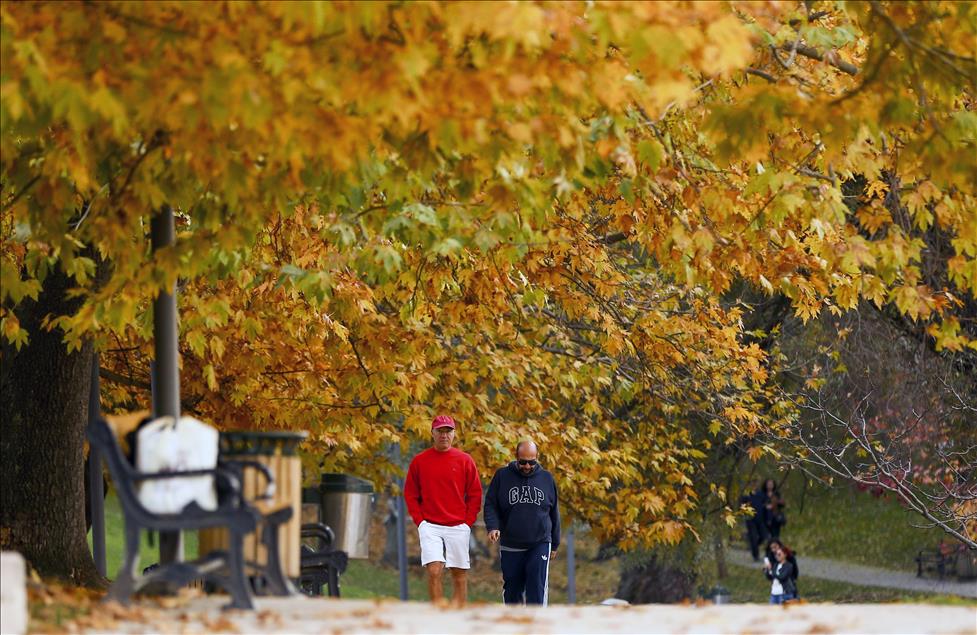 thumbs_b2_2d8d1c8b06f0f6f5d167b129ae538143