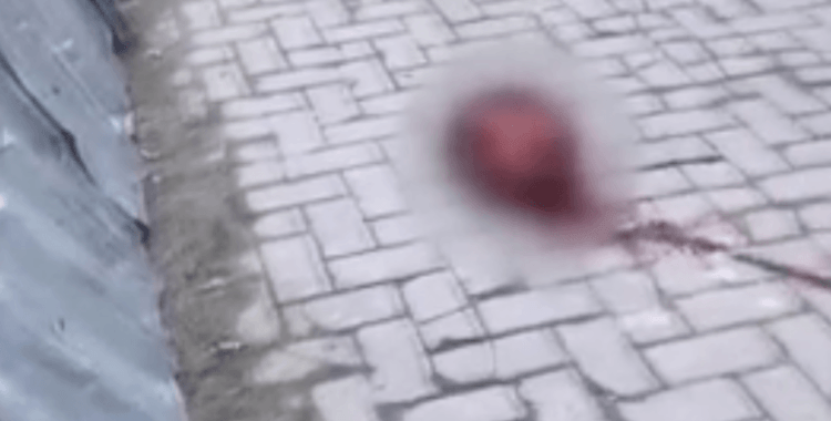 Fbefe125 A33A 44F3 8285 A5B38A48A500 Detail 1