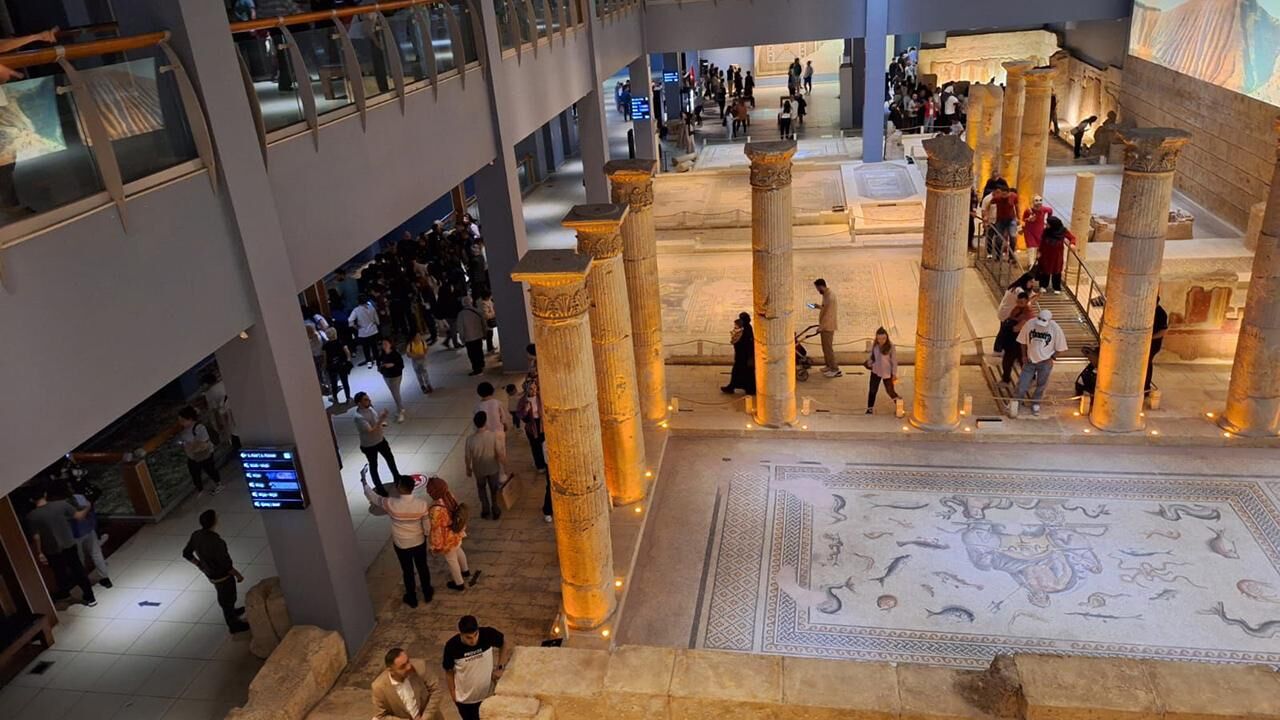 Zeugma Mozaik Muzesi 2212572