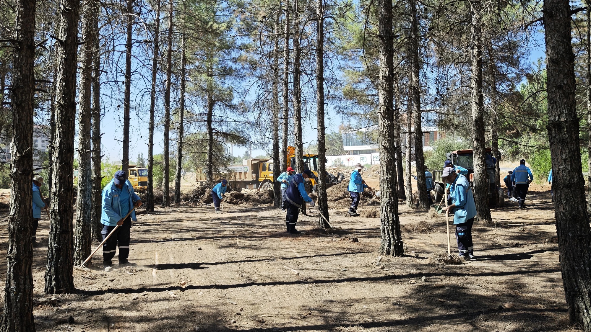 Gazi̇antep Büyükşehi̇r, Orman Yangini Ri̇ski̇ne Karşi Tedbi̇rleri̇ni̇ Artirdi (4)