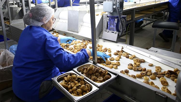 Thumbs B C 8395Cafd91A7E23167B3D8A2C8Eafe62