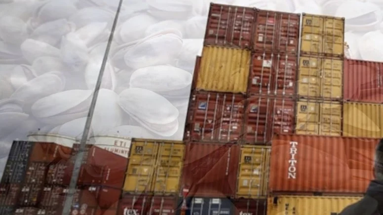 Antep Fistigi Gumrukjpg Eh Sd Sm Gqxk O Dl J V Jm L5Amw