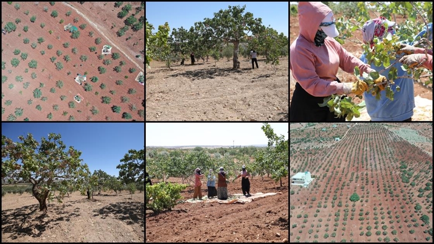 Thumbs B C 07225Bb6Af345Acd94F6E972C53Bbf64