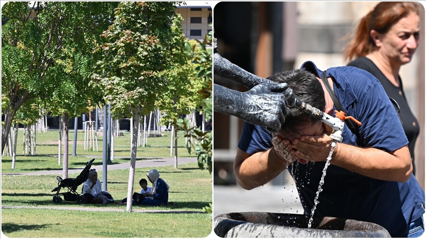 Thumbs B C A66C39Eb3Ee83E58557Ec8Cb41Ca0F02