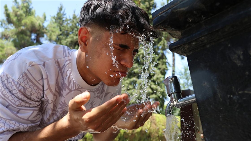 Thumbs B C B32E84562347961B24Ae897A0826Fd2B-1