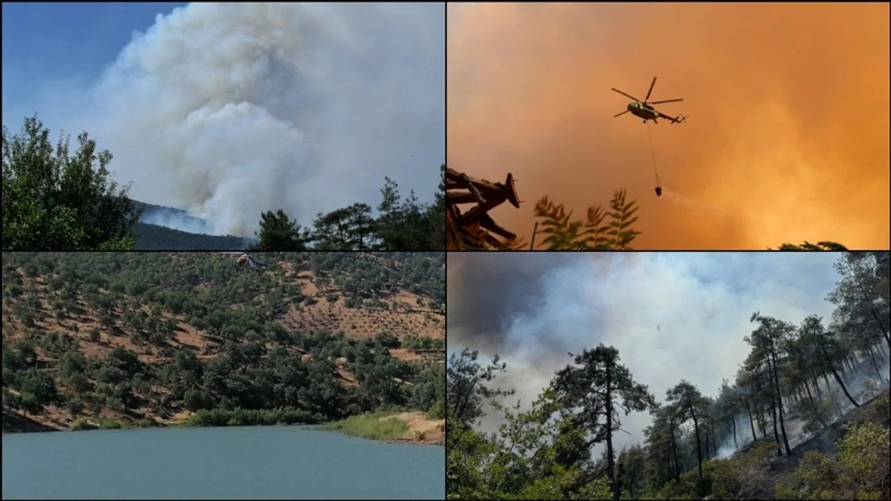 Turkiye Genelinde 47 Ilde Ormanlara Giris Yasaklandi